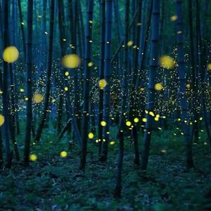 体育生爽擼又大又粗的雞巴自慰
