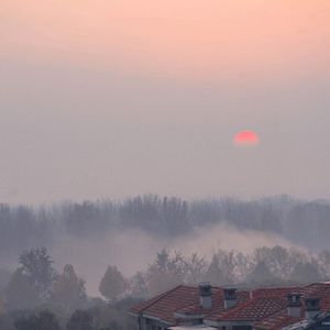 体育生爽擼又大又粗的雞巴自慰
