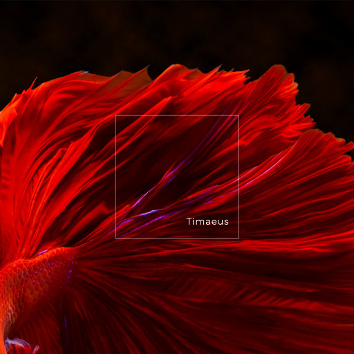 体育生爽擼又大又粗的雞巴自慰
